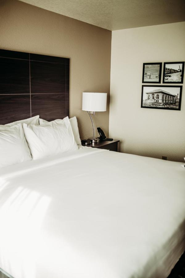 Cobblestone Hotel & Suites International Falls Εξωτερικό φωτογραφία